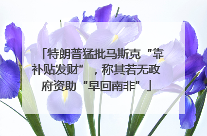 特朗普猛批马斯克“靠补贴发财”，称其若无政府资助“早回南非”