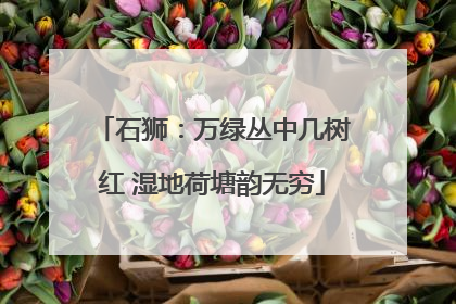 石狮：万绿丛中几树红 湿地荷塘韵无穷