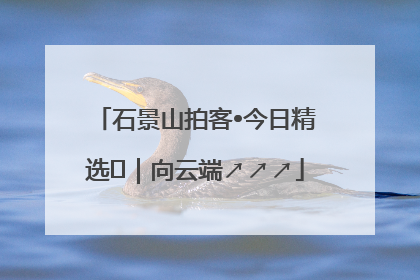 石景山拍客•今日精选⑳｜向云端↗↗↗
