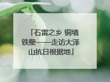 石雷之乡 铜墙铁壁——走访大泽山抗日根据地