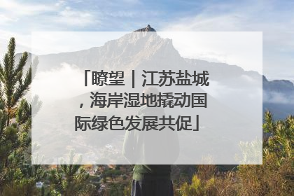 瞭望｜江苏盐城，海岸湿地撬动国际绿色发展共促