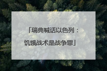 瑞典喊话以色列：饥饿战术是战争罪
