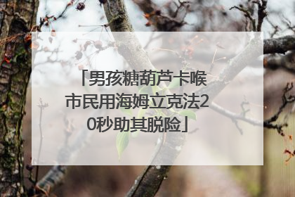 男孩糖葫芦卡喉 市民用海姆立克法20秒助其脱险
