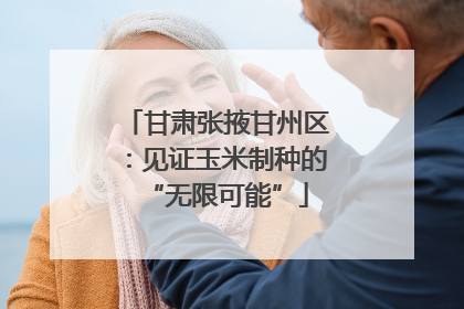 甘肃张掖甘州区：见证玉米制种的“无限可能”