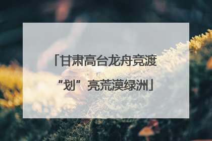 甘肃高台龙舟竞渡“划”亮荒漠绿洲