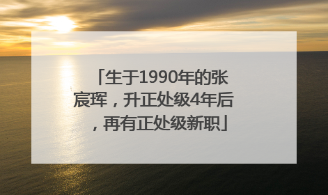生于1990年的张宸珲，升正处级4年后，再有正处级新职