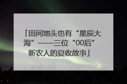 田间地头也有“星辰大海”——三位“00后”新农人的夏收故事