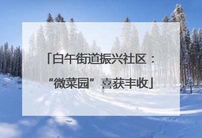 白午街道振兴社区：“微菜园”喜获丰收