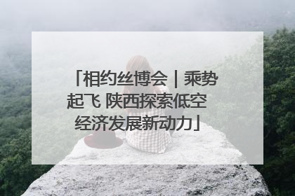 相约丝博会｜乘势起飞 陕西探索低空经济发展新动力