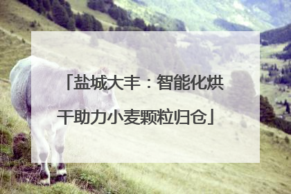 盐城大丰：智能化烘干助力小麦颗粒归仓
