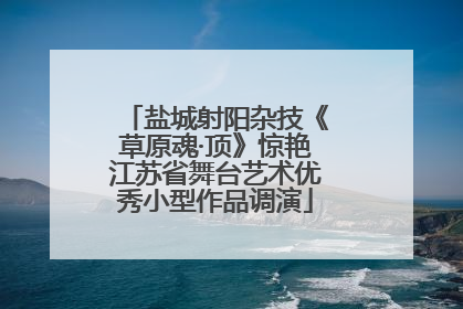 盐城射阳杂技《草原魂·顶》惊艳江苏省舞台艺术优秀小型作品调演
