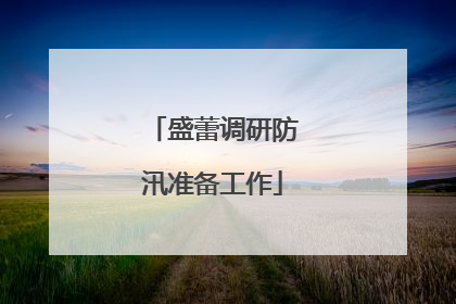 盛蕾调研防汛准备工作