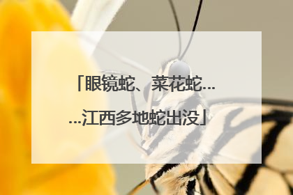 眼镜蛇、菜花蛇……江西多地蛇出没