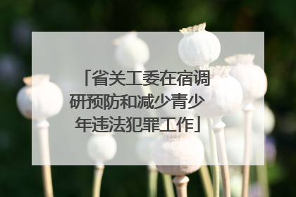 省关工委在宿调研预防和减少青少年违法犯罪工作