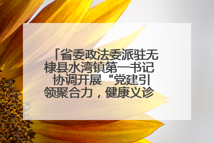省委政法委派驻无棣县水湾镇第一书记 协调开展“党建引领聚合力，健康义诊惠乡亲”义诊活动
