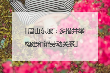 眉山东坡：多措并举构建和谐劳动关系