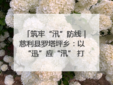 筑牢“汛”防线｜慈利县罗塔坪乡：以“迅”应“汛” 打赢暴雨防御战