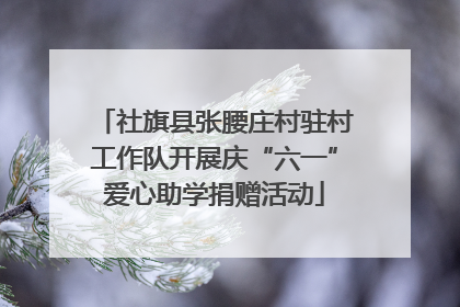 社旗县张腰庄村驻村工作队开展庆“六一”爱心助学捐赠活动