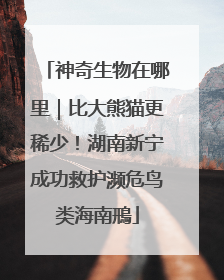 神奇生物在哪里｜比大熊猫更稀少！湖南新宁成功救护濒危鸟类海南鳽