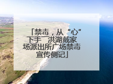 禁毒，从“心”下手――洪湖戴家场派出所广场禁毒宣传侧记