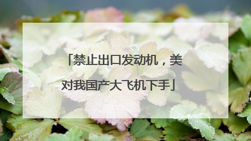 禁止出口发动机，美对我国产大飞机下手
