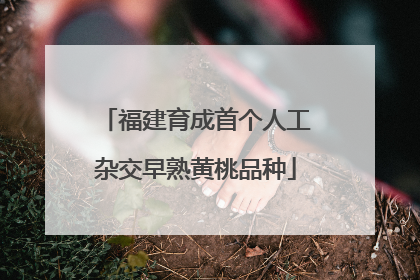 福建育成首个人工杂交早熟黄桃品种