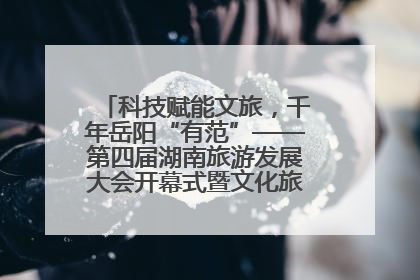 科技赋能文旅，千年岳阳“有范”——第四届湖南旅游发展大会开幕式暨文化旅游推介会侧记