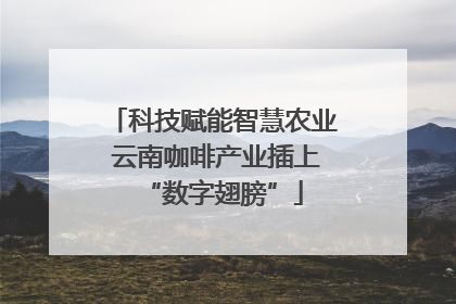科技赋能智慧农业 云南咖啡产业插上“数字翅膀”