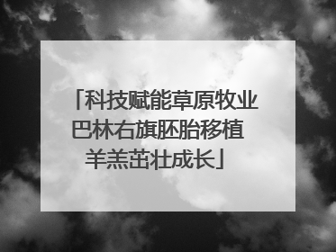 科技赋能草原牧业 巴林右旗胚胎移植羊羔茁壮成长