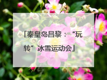 秦皇岛昌黎：“玩转”冰雪运动会