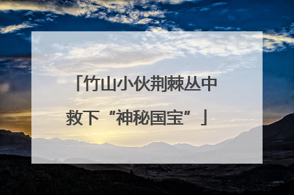 竹山小伙荆棘丛中救下“神秘国宝”