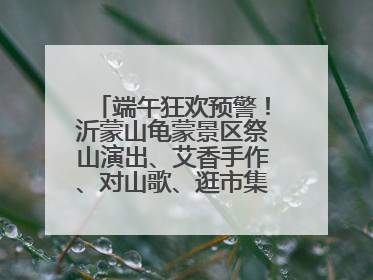端午狂欢预警！沂蒙山龟蒙景区祭山演出、艾香手作、对山歌、逛市集！速来嗨玩~