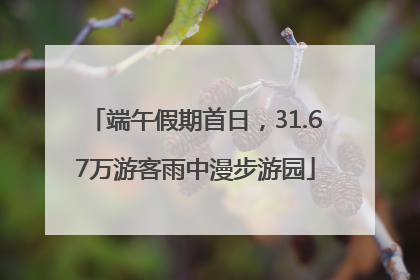 端午假期首日，31.67万游客雨中漫步游园