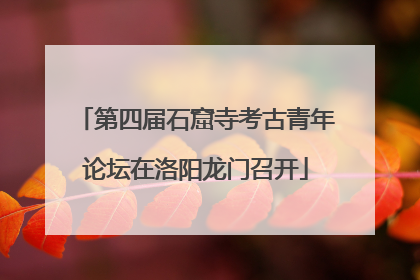 第四届石窟寺考古青年论坛在洛阳龙门召开
