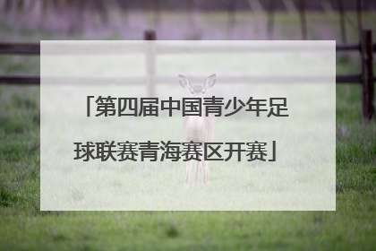 第四届中国青少年足球联赛青海赛区开赛