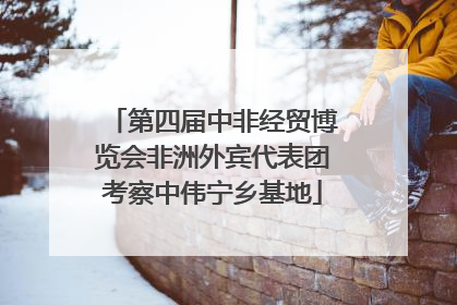 第四届中非经贸博览会非洲外宾代表团考察中伟宁乡基地