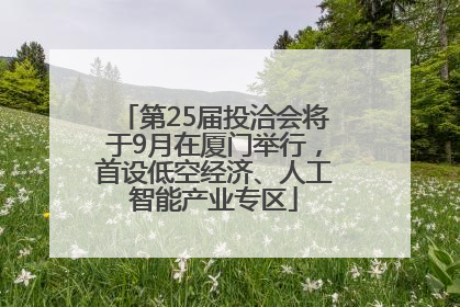 第25届投洽会将于9月在厦门举行，首设低空经济、人工智能产业专区