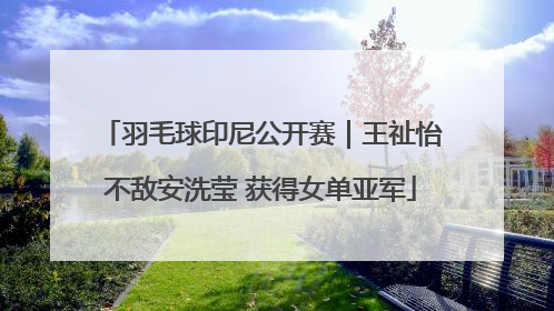 羽毛球印尼公开赛｜王祉怡不敌安洗莹 获得女单亚军