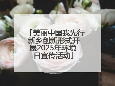美丽中国我先行 新乡创新形式开展2025年环境日宣传活动