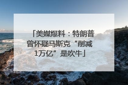 美媒爆料：特朗普曾怀疑马斯克“削减1万亿”是吹牛