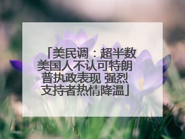 美民调：超半数美国人不认可特朗普执政表现 强烈支持者热情降温