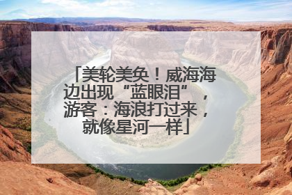 美轮美奂！威海海边出现“蓝眼泪”，游客：海浪打过来，就像星河一样