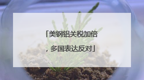 美钢铝关税加倍，多国表达反对