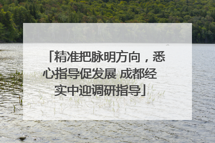 精准把脉明方向，悉心指导促发展 成都经实中迎调研指导