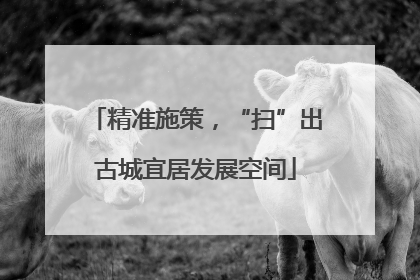 精准施策，“扫”出古城宜居发展空间