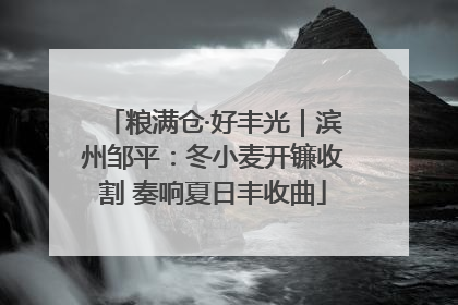 粮满仓·好丰光｜滨州邹平：冬小麦开镰收割 奏响夏日丰收曲