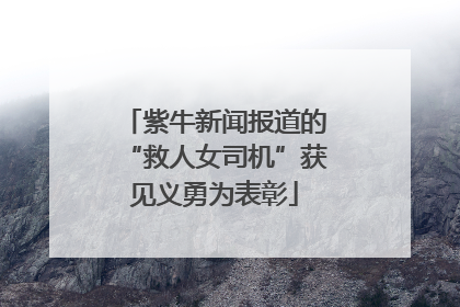 紫牛新闻报道的“救人女司机”获见义勇为表彰