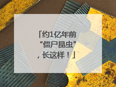 约1亿年前“僵尸昆虫”，长这样！