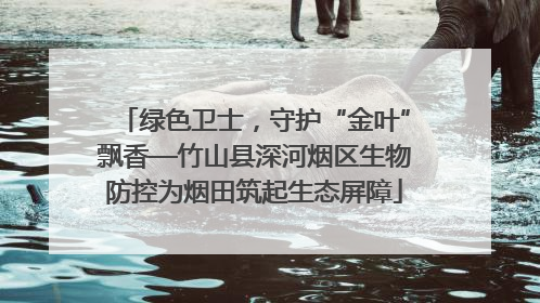 绿色卫士，守护“金叶”飘香—竹山县深河烟区生物防控为烟田筑起生态屏障