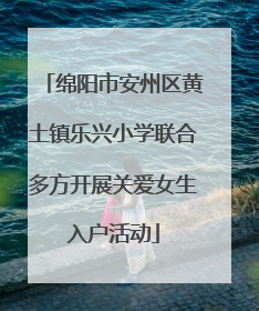 绵阳市安州区黄土镇乐兴小学联合多方开展关爱女生入户活动